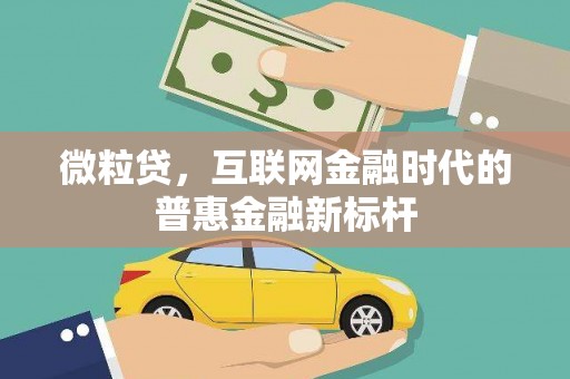 喀什微粒贷，互联网金融时代的普惠金融新标杆