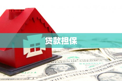 镜湖贷款担保