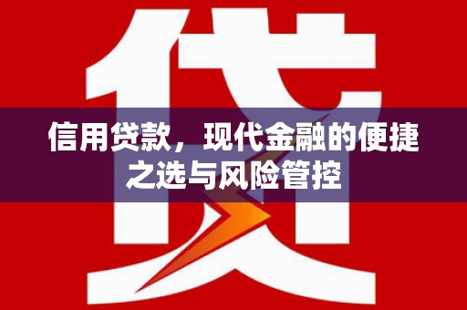 望谟信用贷款，现代金融的便捷之选与风险管控