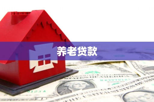潮安养老贷款