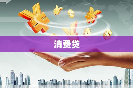 水林消费贷