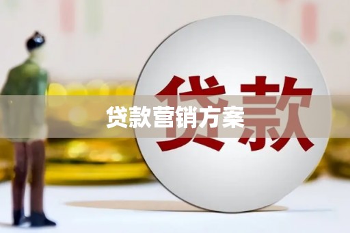 成武贷款营销方案