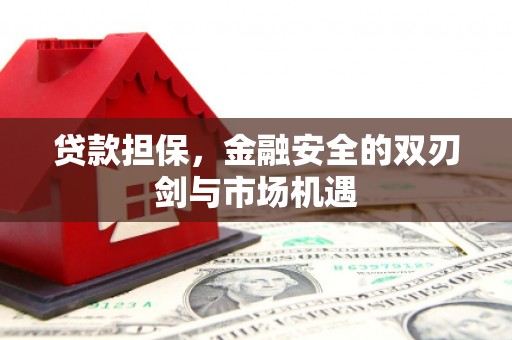 芦洲贷款担保，金融安全的双刃剑与市场机遇