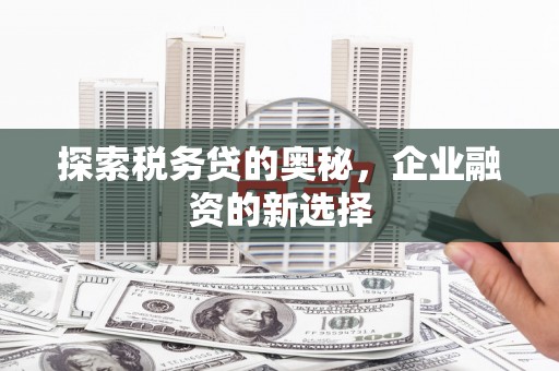 锡林浩特探索税务贷的奥秘，企业融资的新选择