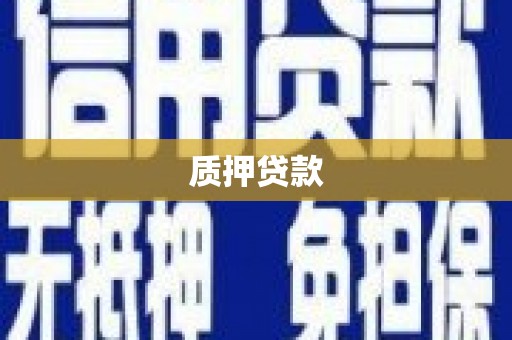 沈北新区质押贷款