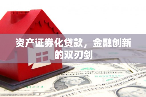 荔浦资产证券化贷款，金融创新的双刃剑