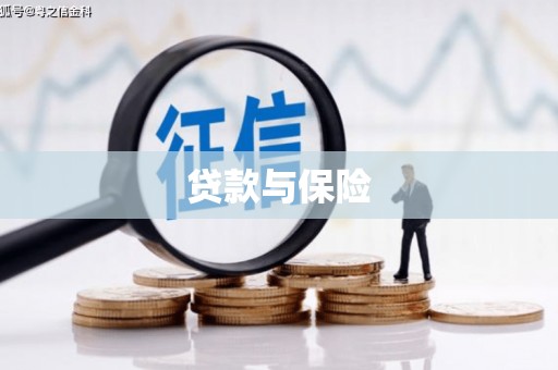 屏山贷款与保险