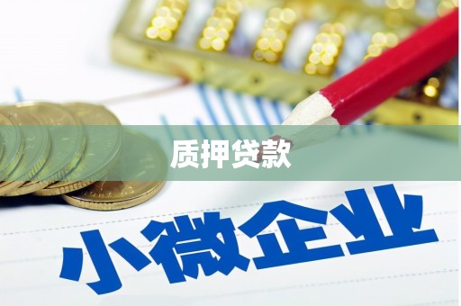 竹东质押贷款
