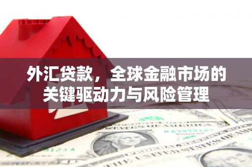 稻城外汇贷款，全球金融市场的关键驱动力与风险管理
