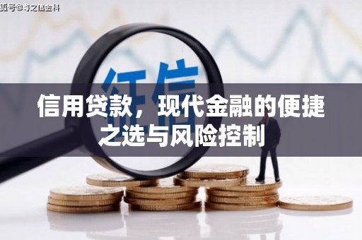 涡阳信用贷款，现代金融的便捷之选与风险控制