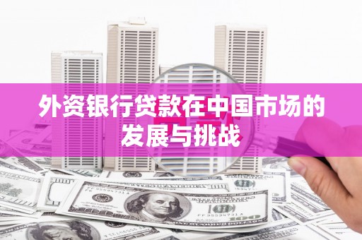 沈北新区外资银行贷款在中国市场的发展与挑战