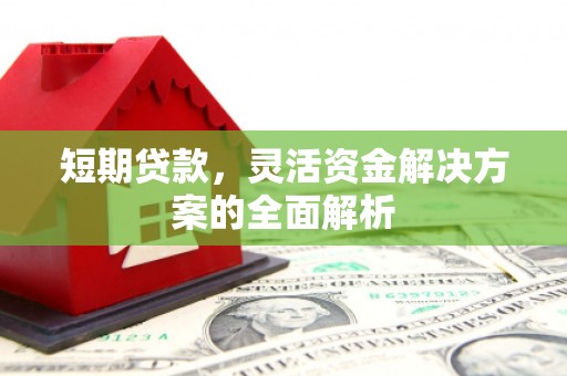 安定短期贷款，灵活资金解决方案的全面解析