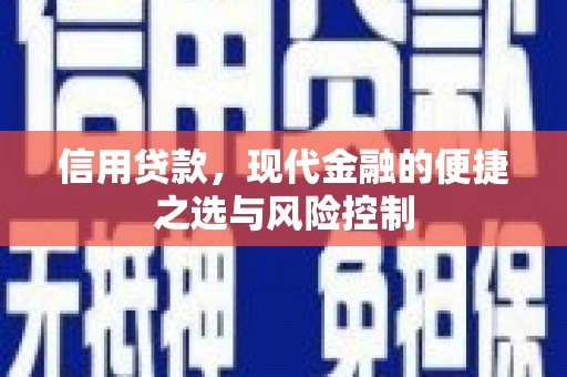 高淳信用贷款，现代金融的便捷之选与风险控制