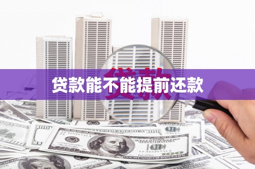 桑日贷款能不能提前还款