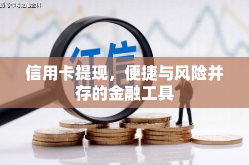 施甸信用卡提现，便捷与风险并存的金融工具