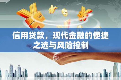 郁南信用贷款，现代金融的便捷之选与风险控制