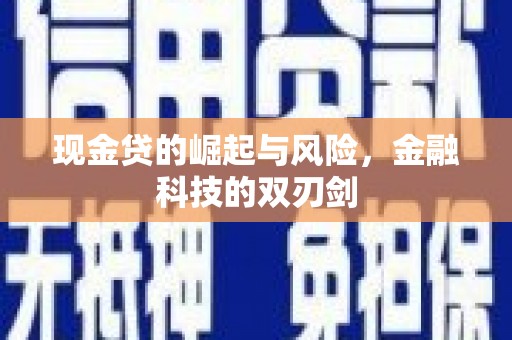 射阳现金贷的崛起与风险，金融科技的双刃剑