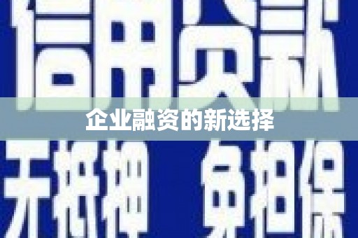 甘井子企业融资的新选择
