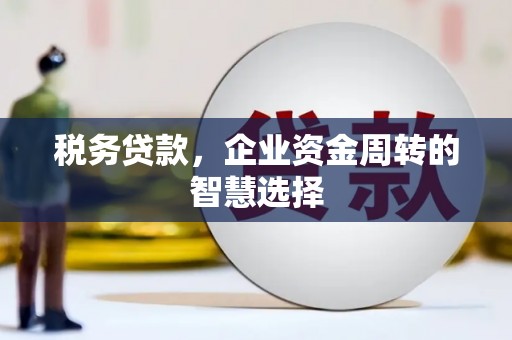 雁江税务贷款，企业资金周转的智慧选择