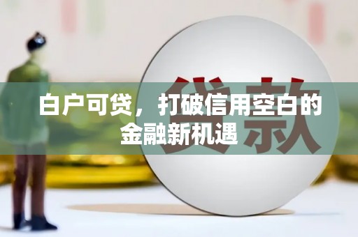 成县白户可贷，打破信用空白的金融新机遇