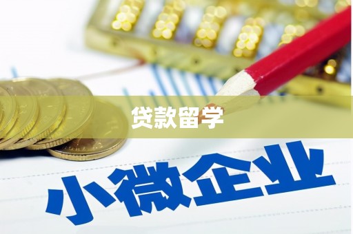 靖西贷款留学