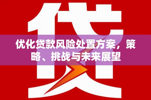柳州优化贷款风险处置方案，策略、挑战与未来展望