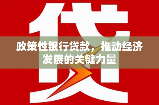 晋宁政策性银行贷款，推动经济发展的关键力量