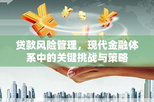 商南贷款风险管理，现代金融体系中的关键挑战与策略