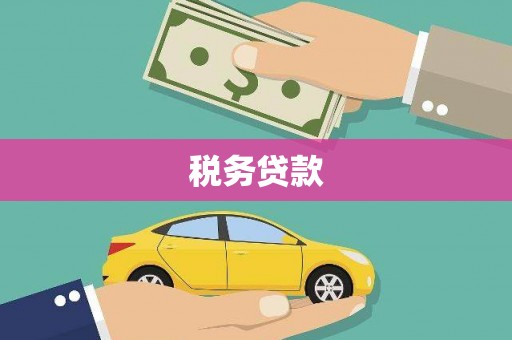 关岭税务贷款