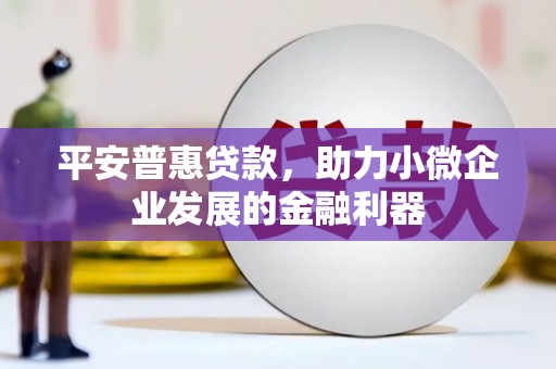 莿桐平安普惠贷款，助力小微企业发展的金融利器