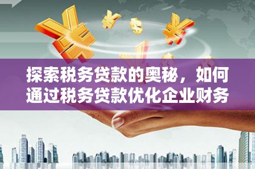 琼中探索税务贷款的奥秘，如何通过税务贷款优化企业财务