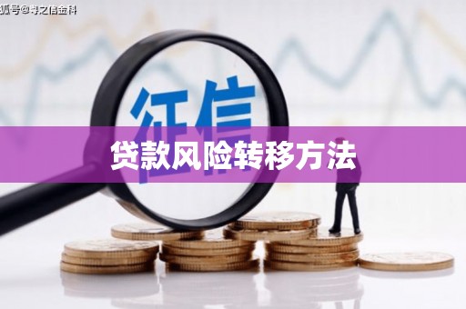 丹寨贷款风险转移方法