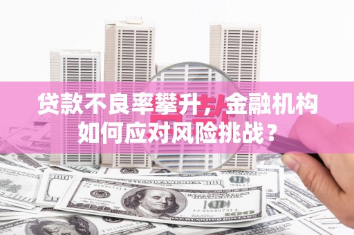 柳营贷款不良率攀升，金融机构如何应对风险挑战？