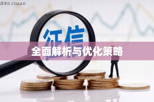 仁寿全面解析与优化策略