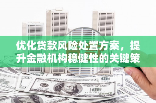 元谋优化贷款风险处置方案，提升金融机构稳健性的关键策略
