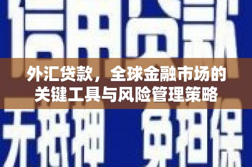 无极外汇贷款，全球金融市场的关键工具与风险管理策略