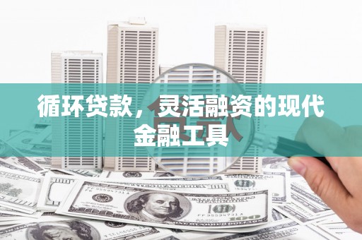 日土循环贷款，灵活融资的现代金融工具