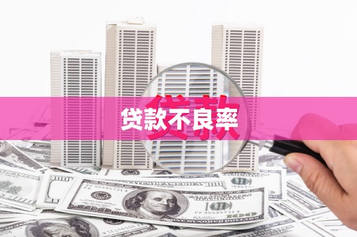 顺庆贷款不良率