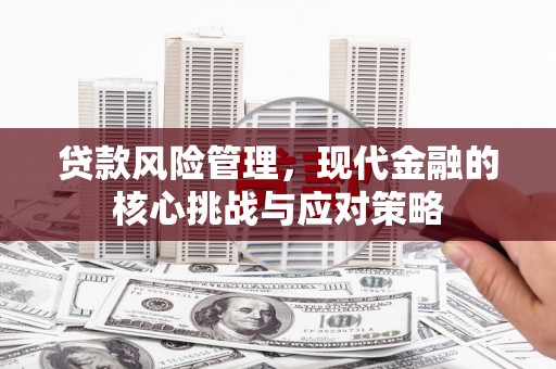 民权贷款风险管理，现代金融的核心挑战与应对策略