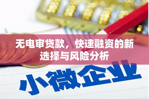 廉江无电审贷款，快速融资的新选择与风险分析