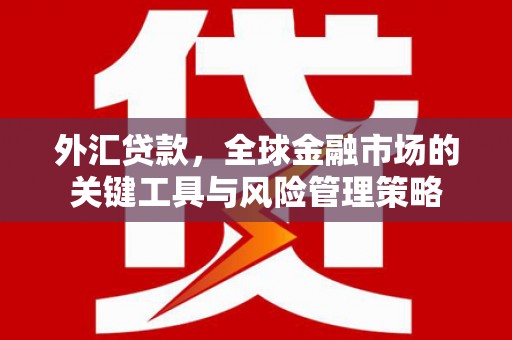 韩城外汇贷款，全球金融市场的关键工具与风险管理策略