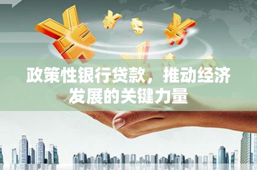 张北政策性银行贷款，推动经济发展的关键力量
