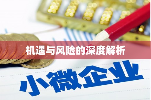 桃城机遇与风险的深度解析