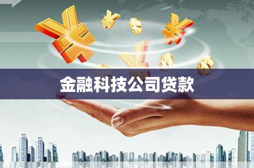 岳麓金融科技公司贷款