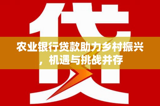 海原农业银行贷款助力乡村振兴，机遇与挑战并存
