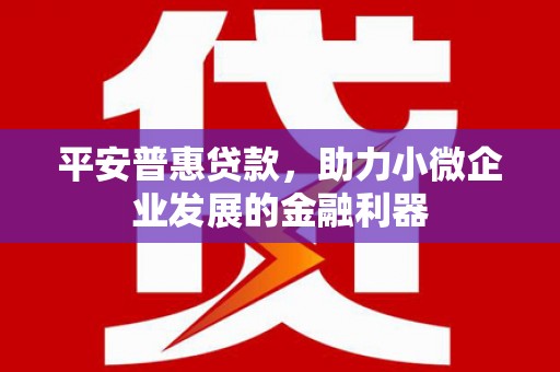 沙田平安普惠贷款，助力小微企业发展的金融利器
