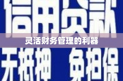 吉利灵活财务管理的利器