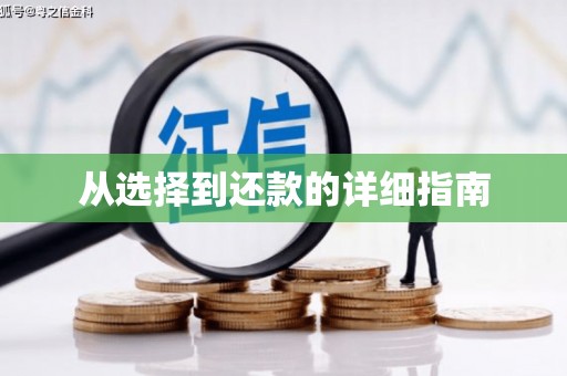 资源从选择到还款的详细指南
