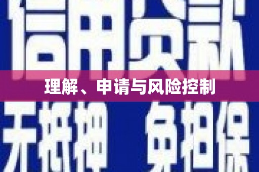 留坝理解、申请与风险控制