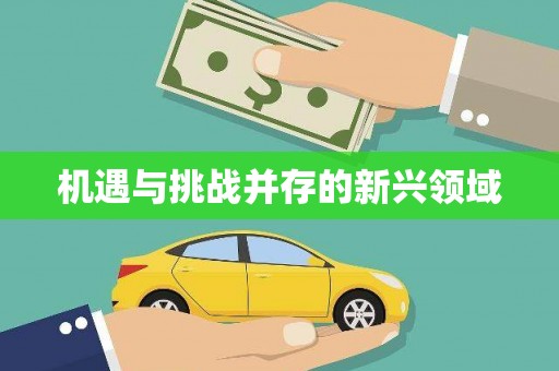 龙文机遇与挑战并存的新兴领域